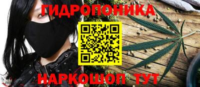 крисы Конаково