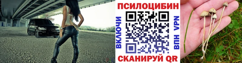 Псилоцибиновые грибы MAGIC MUSHROOMS  Солнечногорск 