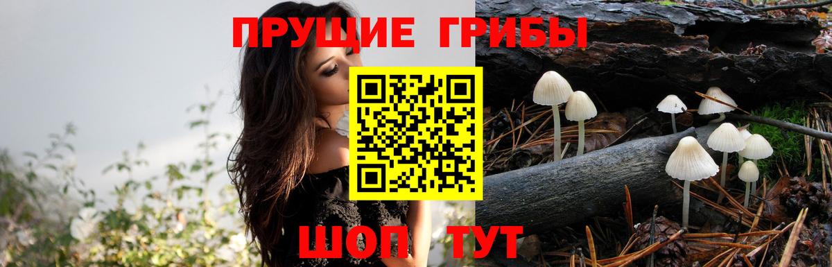 Галлюциногенные грибы MAGIC MUSHROOMS Солнечногорск