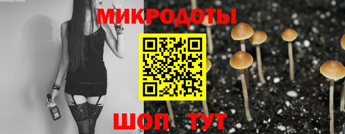 сколько стоит  Солнечногорск  Псилоцибиновые грибы GOLDEN TEACHER  Псилоцибиновые грибы мицелий 